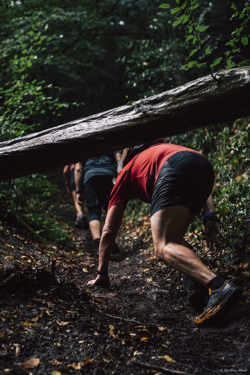 Passage sous un tronc d'arbre sur le parcours